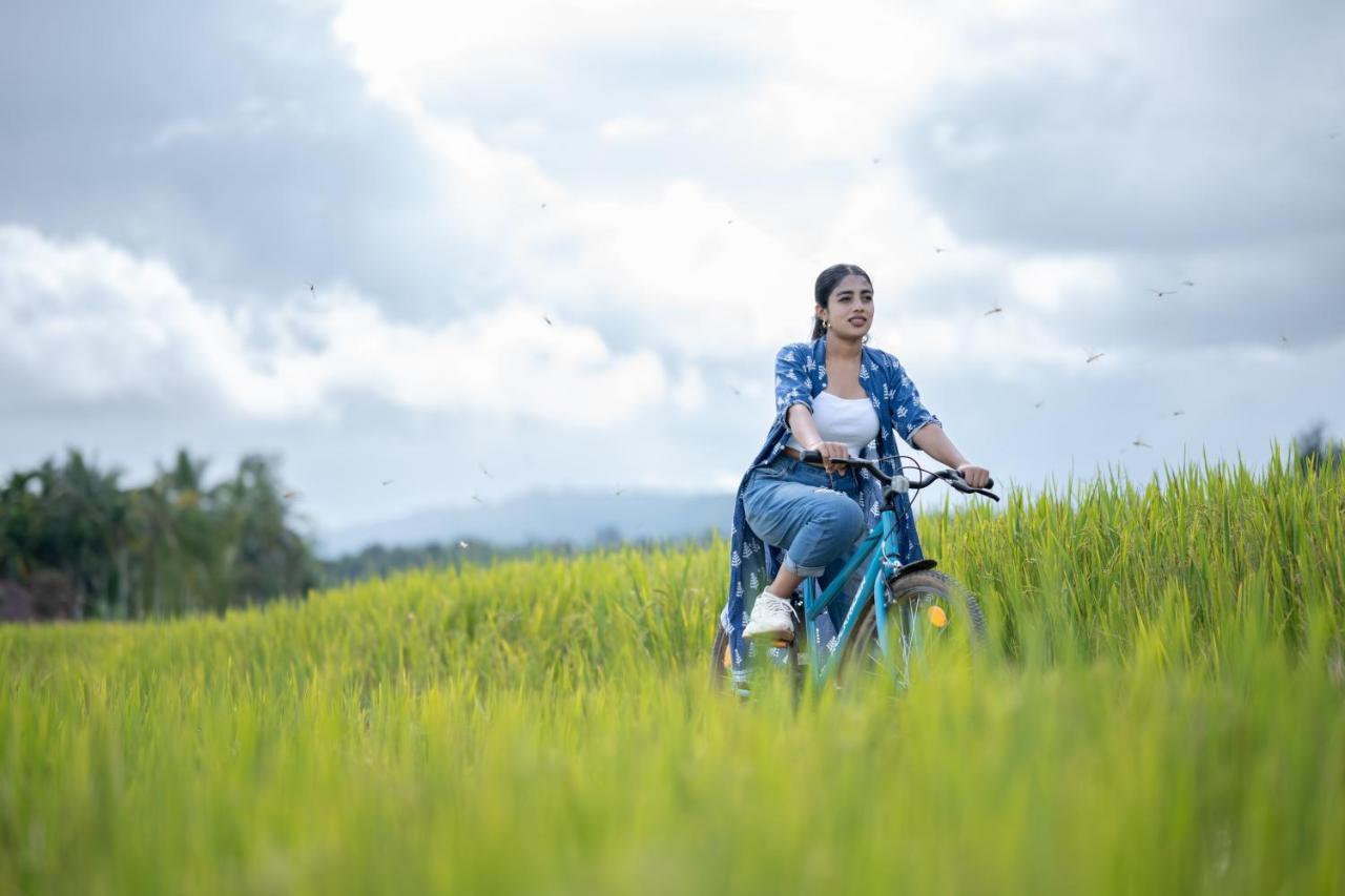 Raindrops Resorts Wayanad Sultan Bathery Eksteriør bilde