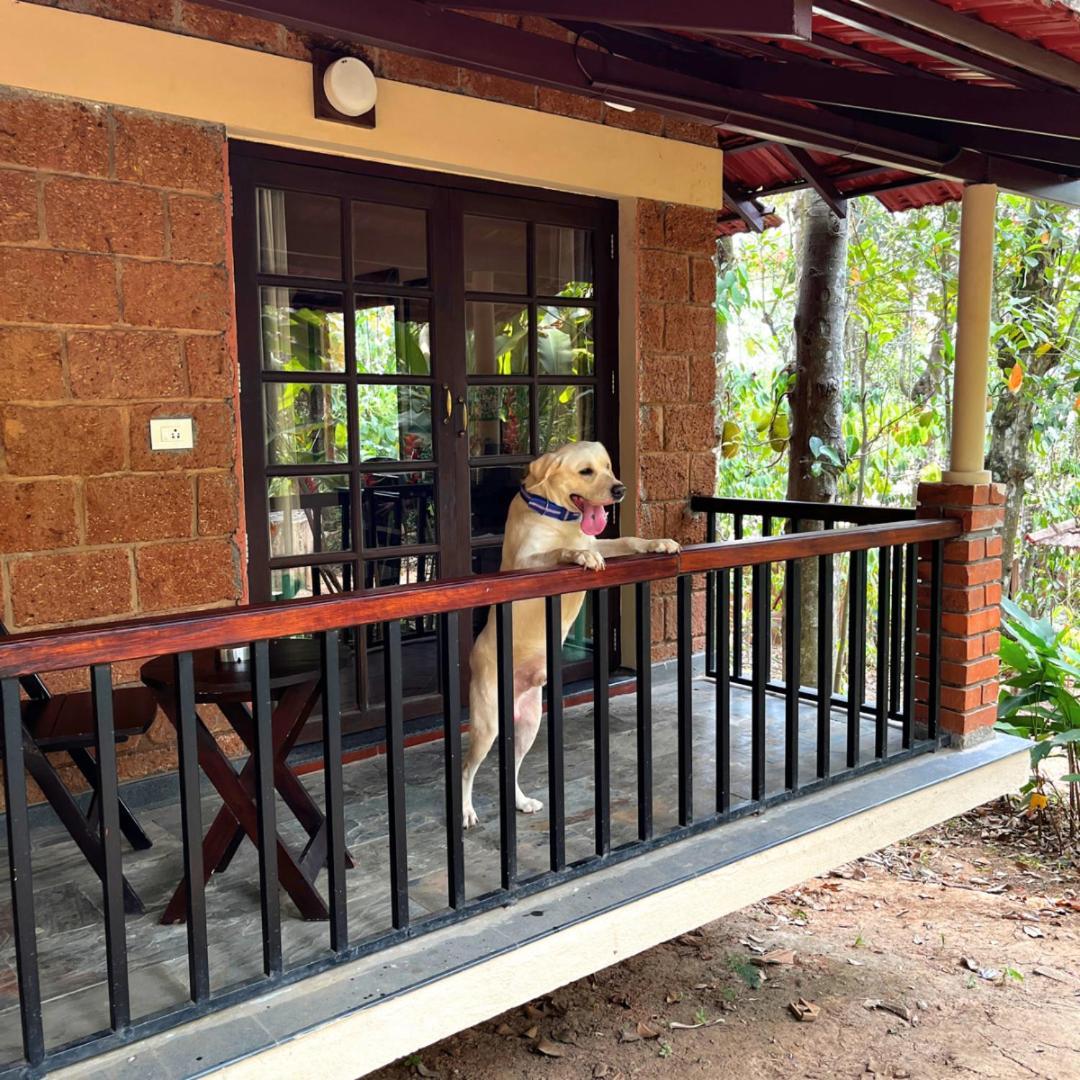 Raindrops Resorts Wayanad Sultan Bathery Eksteriør bilde
