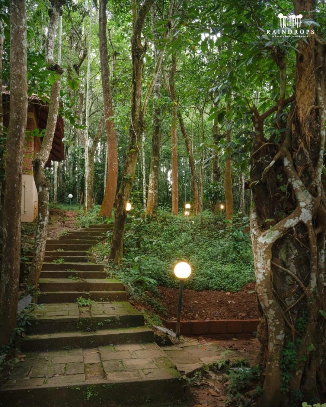 Raindrops Resorts Wayanad Sultan Bathery Eksteriør bilde