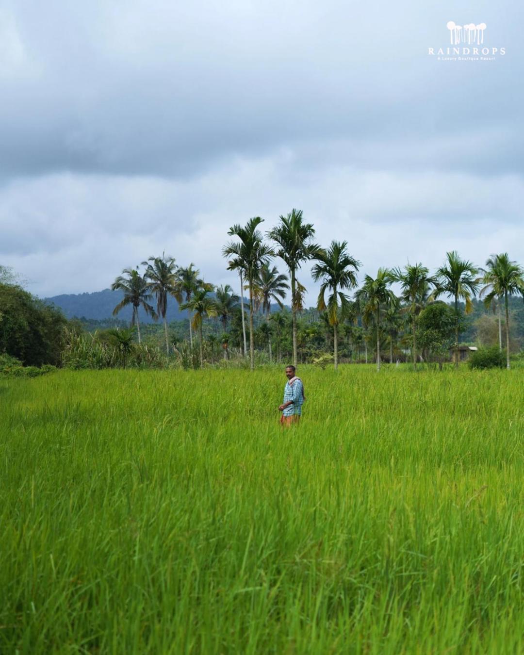 Raindrops Resorts Wayanad Sultan Bathery Eksteriør bilde