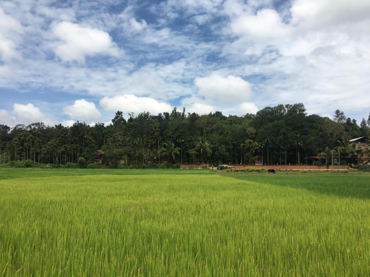Raindrops Resorts Wayanad Sultan Bathery Eksteriør bilde